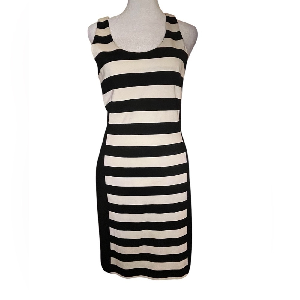 The Letter Black and White Striped Dress Medium
